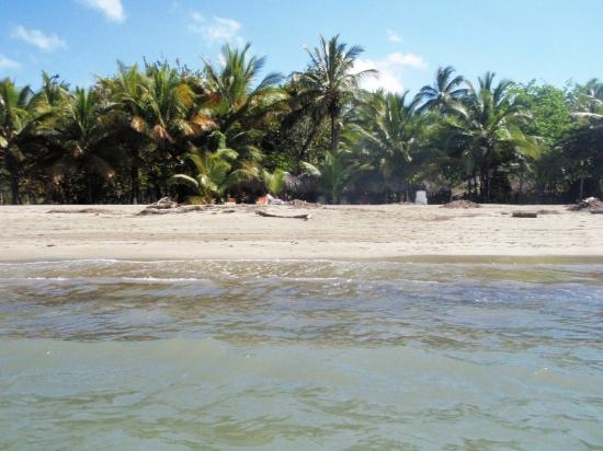 Beach of the Hotel LA PLAYITA - Gaspar Hernandez - Dominican Republic